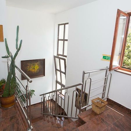Apartments Mihic Makarska Extérieur photo